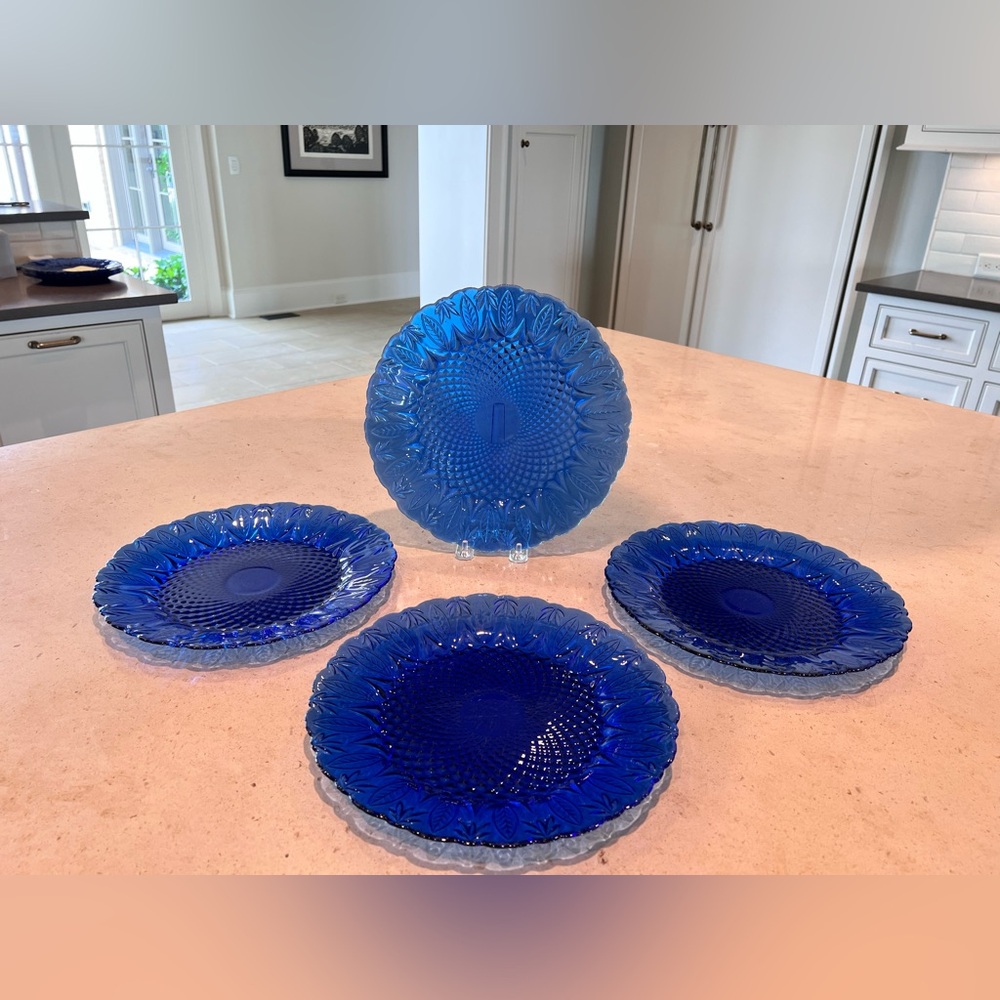 Luminarc Arcoroc Avon Royal Sapphire Leaf Print 10.5" Plate
Cobalt Blue Set of 4